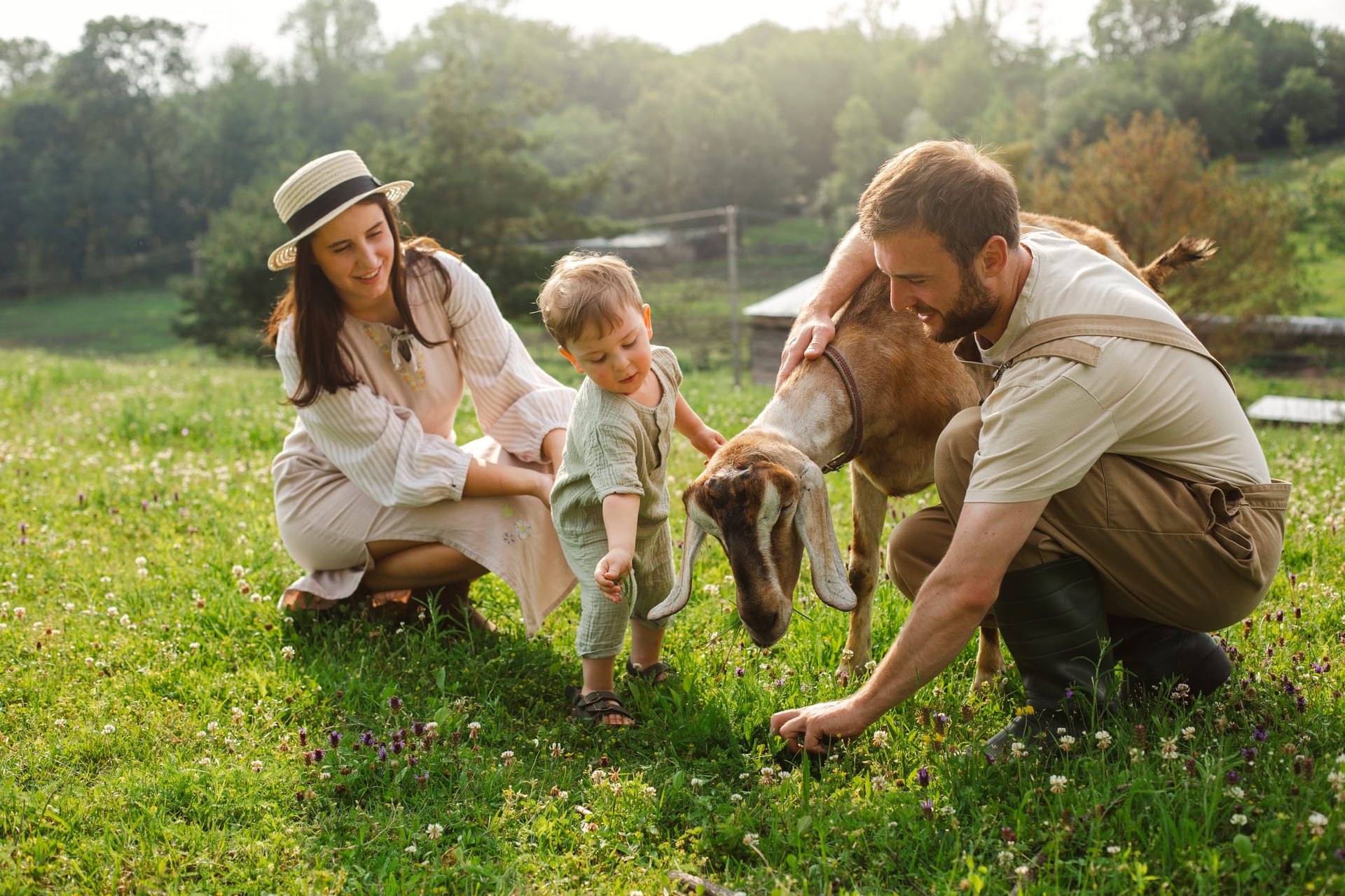 Landurlaub, Tourismus-Webdesign