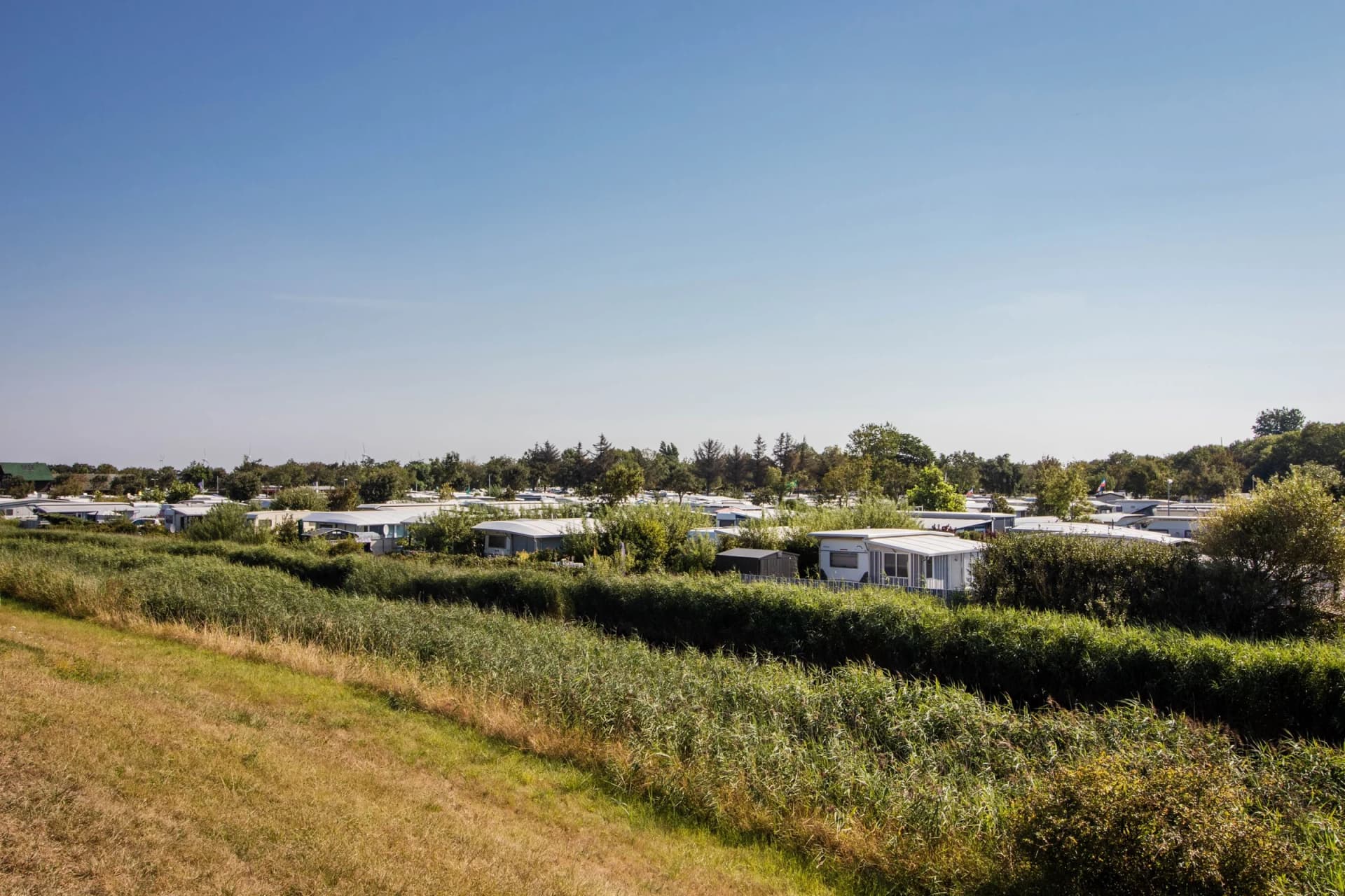 Blick vom Deich auf einen Campingplatz auf Fehmarn