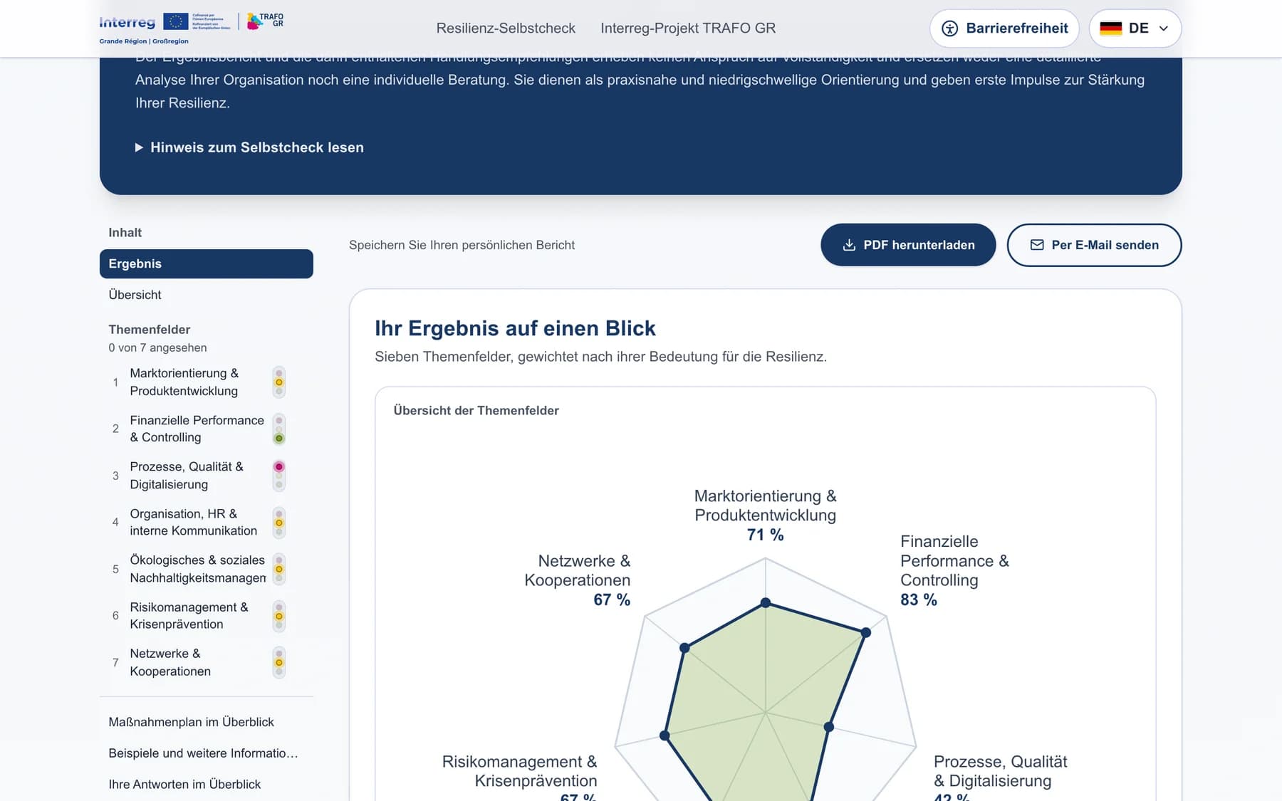 Netzdiagramm der sieben Themenfelder