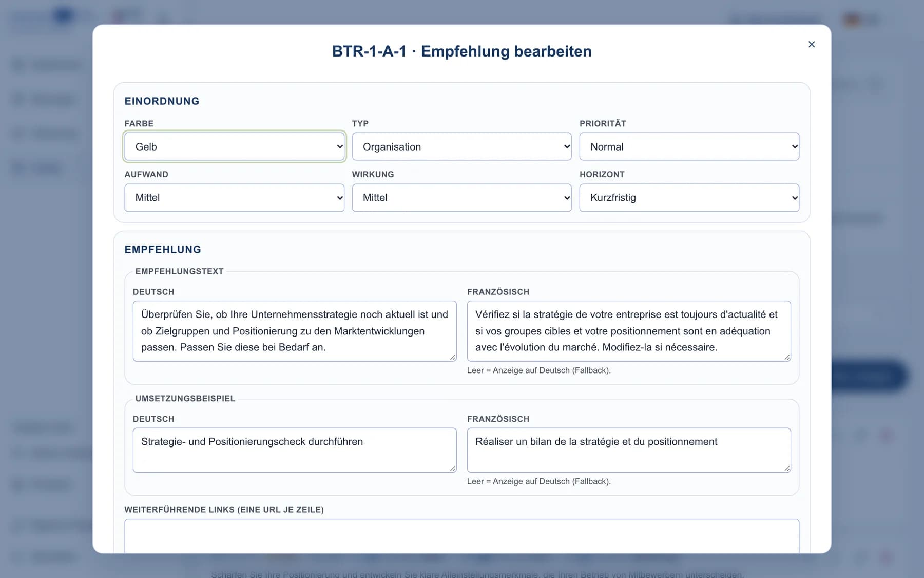 Fenster zum Bearbeiten einer Empfehlung mit Farbe, Art, Priorität, Aufwand, Wirkung, Zeithorizont und Texten in beiden Sprachen
