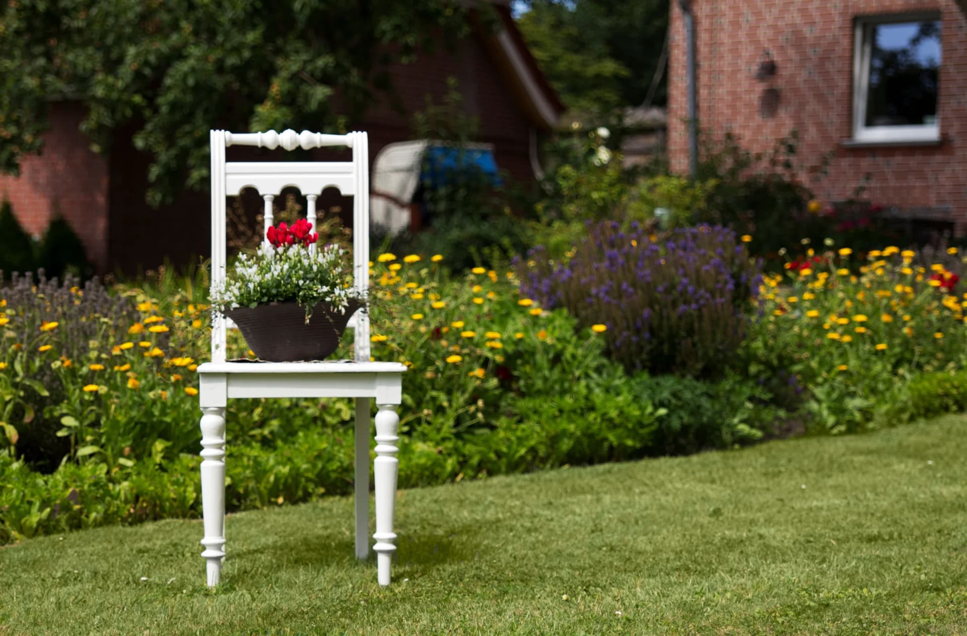 Garten mit weißem Stuhl, Lavendel und Sommerblumen bei Bauer Höper