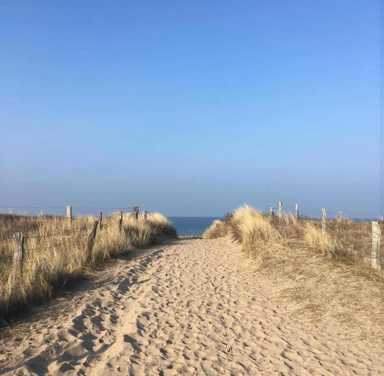 Sandweg durch die Dünen zum Strand, dahinter die Ostsee unter blauem Himmel