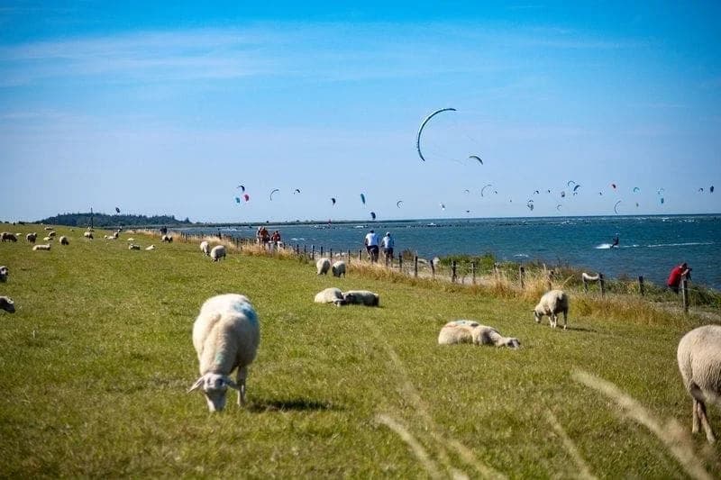Naturstrand Grüner Brink auf Fehmarn
