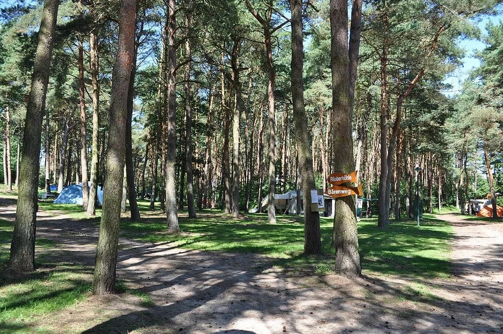 Pinienwald mit Zelten und Wegweisern auf dem Inselcamp Rügen
