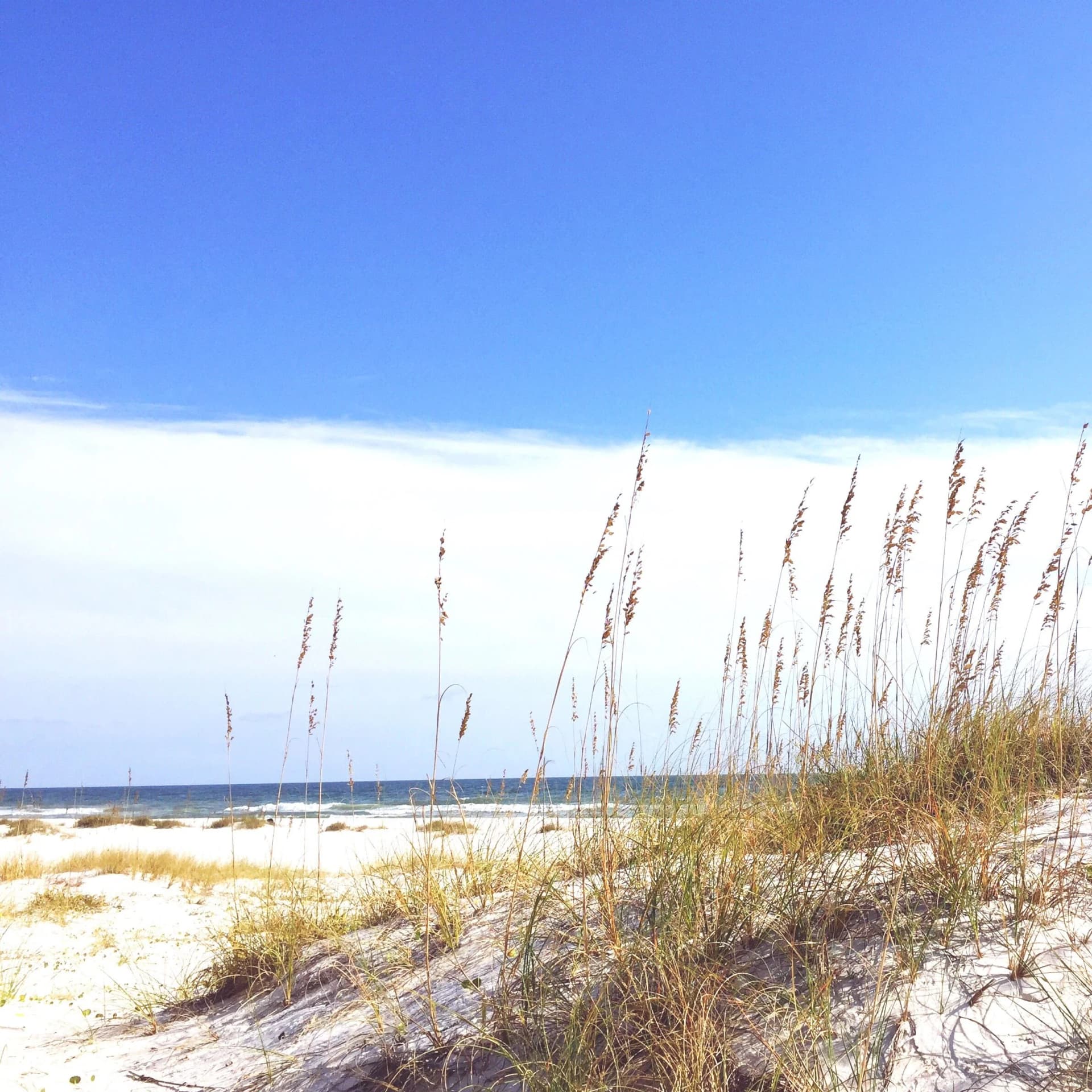 Ostseeküste, die Kulisse von NOORD