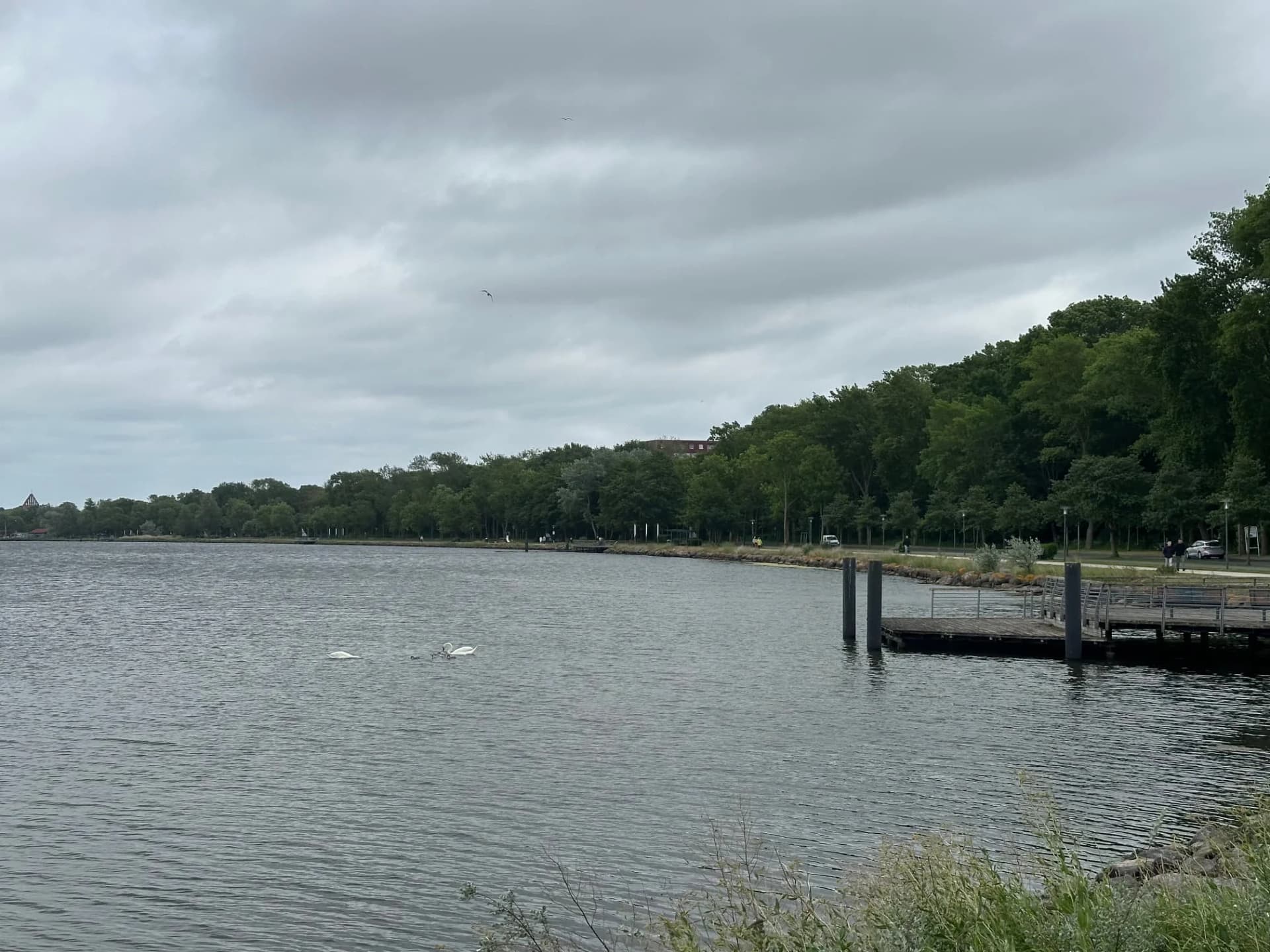 Blick über den Binnensee mit Steg am Womopark Heiligenhafen